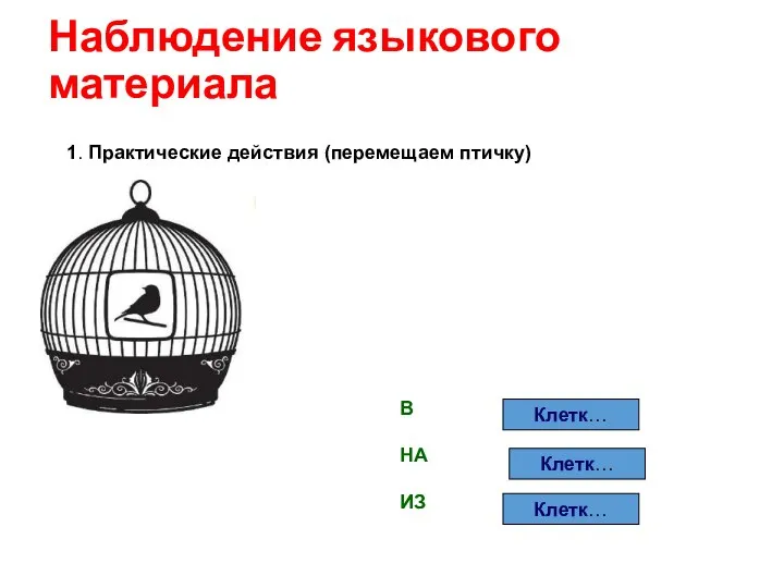 Наблюдение языкового материала В НА ИЗ Клетк… Клетк… Клетк… 1. Практические действия (перемещаем птичку)