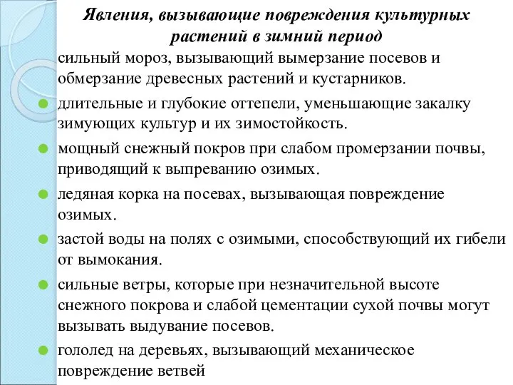 Явления, вызывающие повреждения культурных растений в зимний период сильный мороз, вызывающий