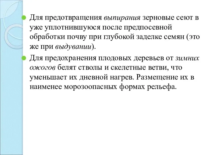 Для предотвращения выпирания зерновые сеют в уже уплотнившуюся после предпосевной обработки