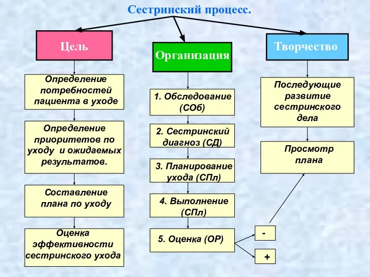 Сестринский процесс. Цель Организация Творчество Определение потребностей пациента в уходе Определение