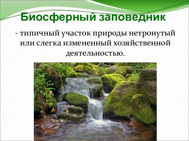 - типичный участок природы нетронутый или слегка измененный хозяйственной деятельностью. Биосферный заповедник