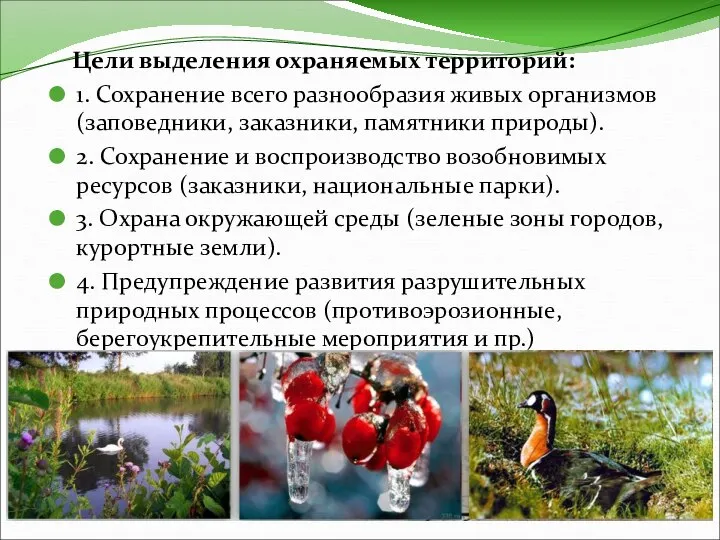 Цели выделения охраняемых территорий: 1. Сохранение всего разнообразия живых организмов (заповедники,