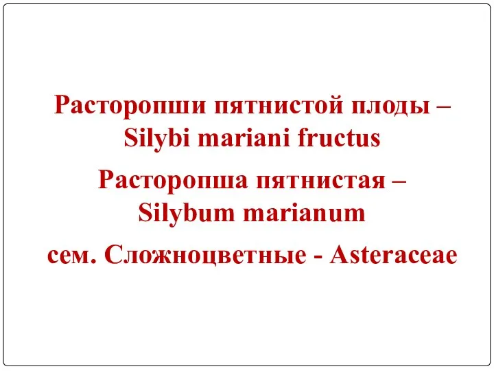 Расторопши пятнистой плоды – Silybi mariani fructus Расторопша пятнистая – Silybum marianum сем. Сложноцветные - Asteraceae