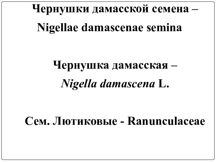 Чернушки дамасской семена – Nigellae damascenae semina Чернушка дамасская – Nigella