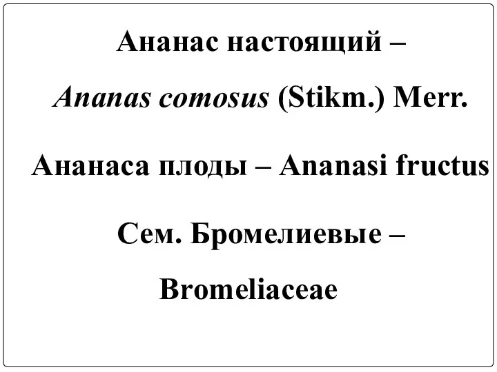 Ананас настоящий – Ananas comosus (Stikm.) Merr. Ананаса плоды – Ananasi fructus Сем. Бромелиевые – Bromeliaceae