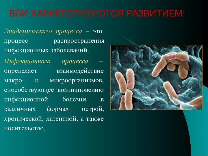 Эпидемического процесса – это процесс распространения инфекционных заболеваний. Инфекционного процесса –