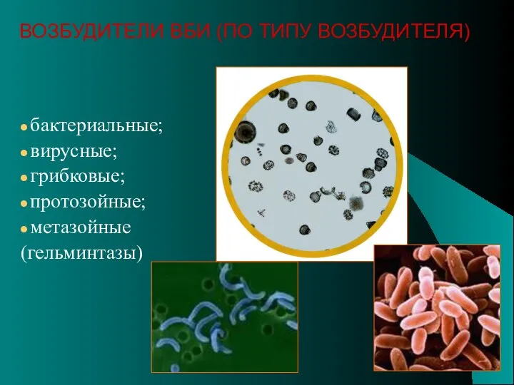 бактериальные; вирусные; грибковые; протозойные; метазойные (гельминтазы) ВОЗБУДИТЕЛИ ВБИ (ПО ТИПУ ВОЗБУДИТЕЛЯ)