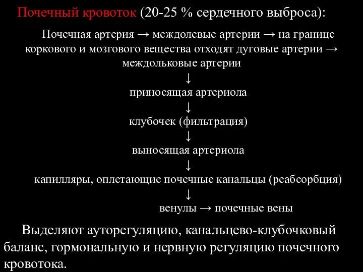 Почечный кровоток (20-25 % сердечного выброса): Почечная артерия → междолевые артерии