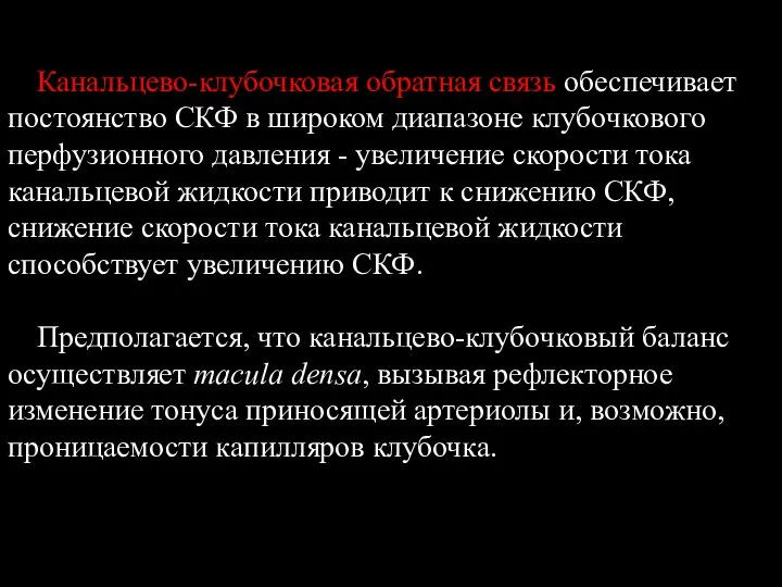 Канальцево-клубочковая обратная связь обеспечивает постоянство СКФ в широком диапазоне клубочкового перфузионного