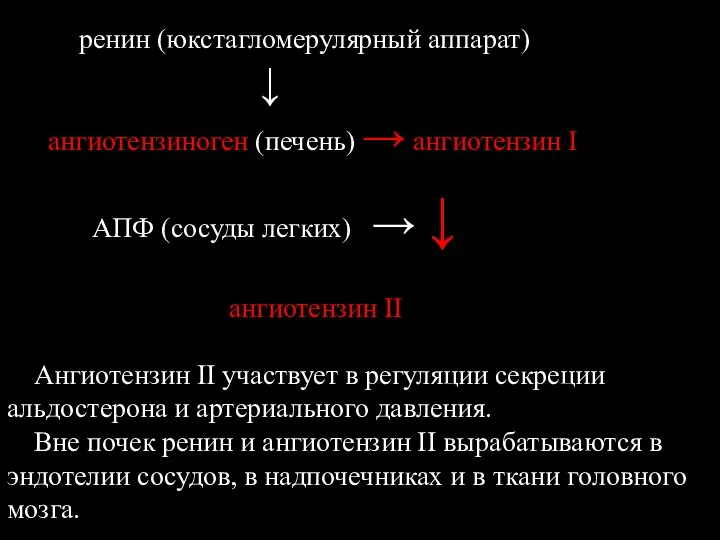 ренин (юкстагломерулярный аппарат) ↓ ангиотензиноген (печень) → ангиотензин I АПФ (сосуды