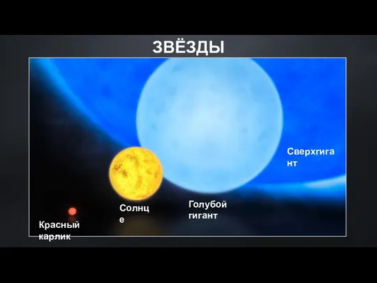 ЗВЁЗДЫ Красный карлик Солнце Голубой гигант Сверхгигант