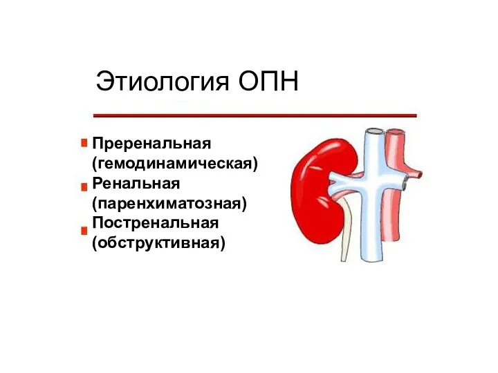 Этиология ОПН Преренальная (гемодинамическая) Ренальная (паренхиматозная) Постренальная (обструктивная)