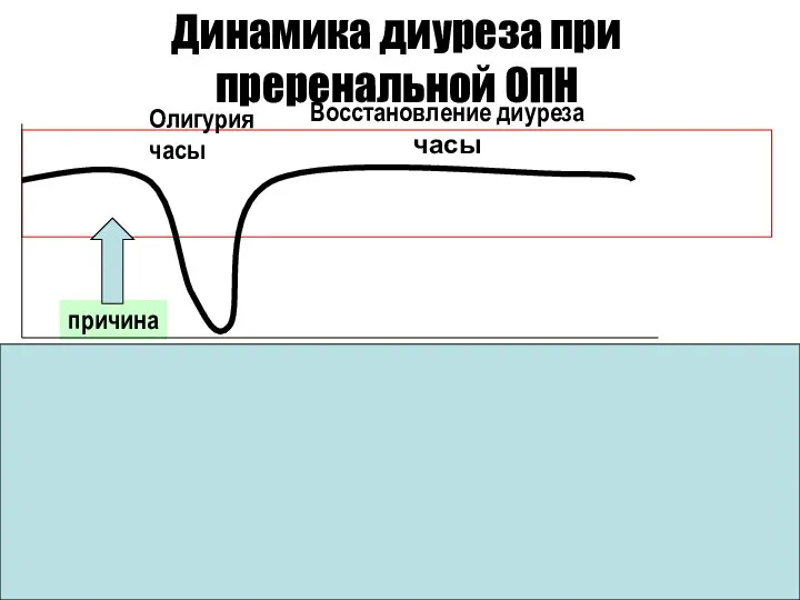 Динамика диуреза при преренальной ОПН Олигурия часы Восстановление диуреза часы Снижение