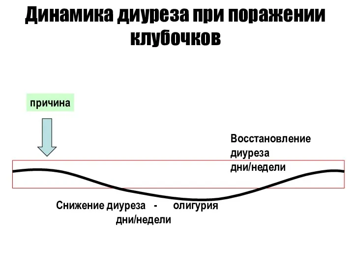 Динамика диуреза при поражении клубочков Снижение диуреза - олигурия дни/недели Восстановление диуреза дни/недели причина