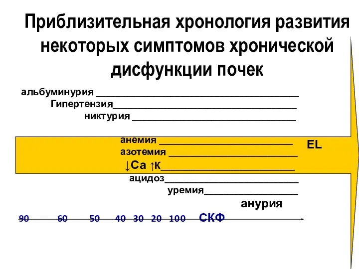 Приблизительная хронология развития некоторых симптомов хронической дисфункции почек альбуминурия _________________________________________ Гипертензия_____________________________________