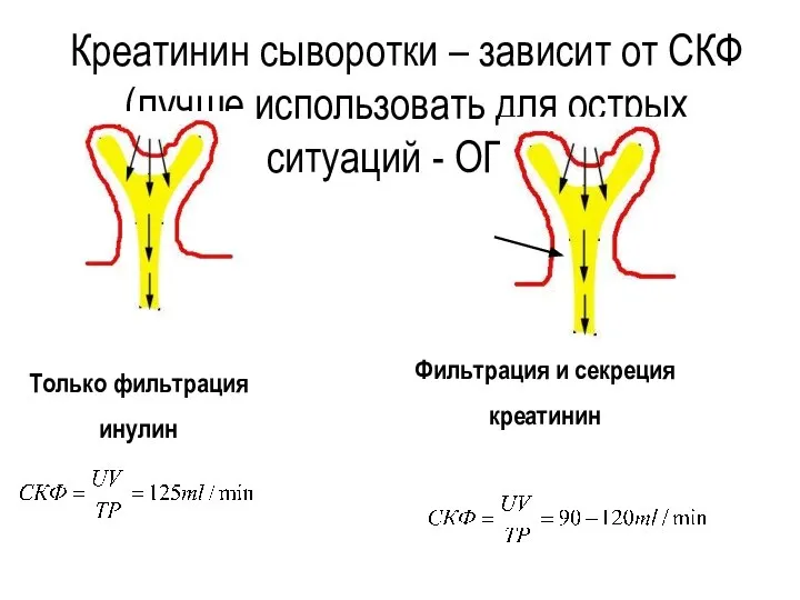 Креатинин сыворотки – зависит от СКФ (лучше использовать для острых ситуаций