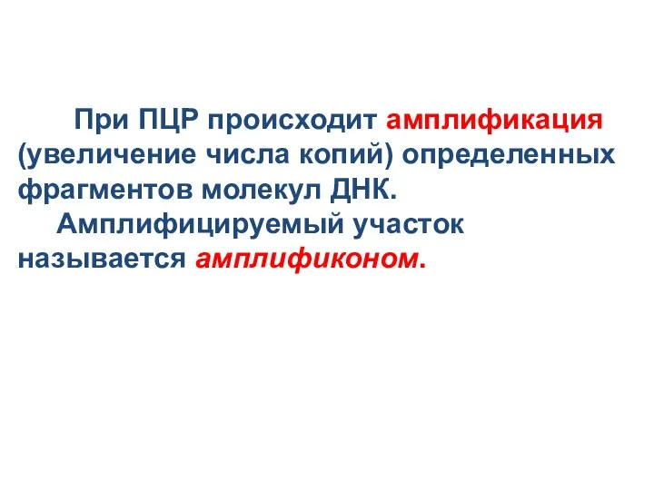 При ПЦР происходит амплификация (увеличение числа копий) определенных фрагментов молекул ДНК. Амплифицируемый участок называется амплификоном.