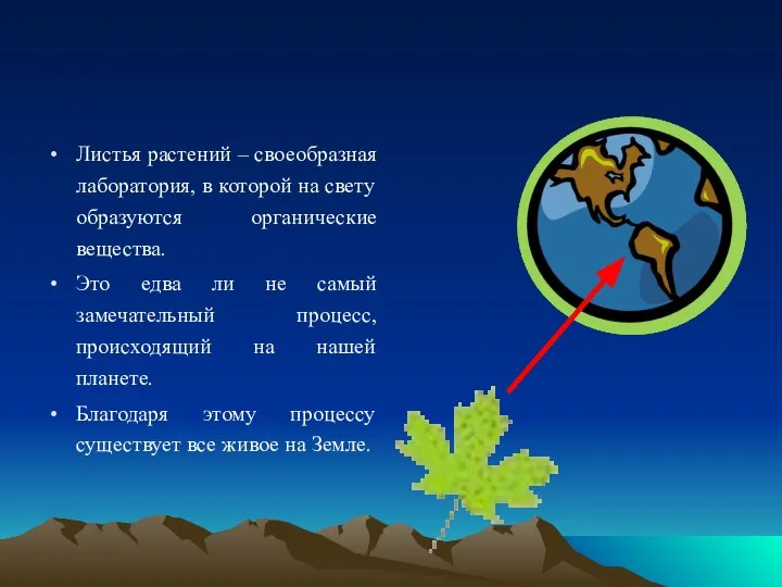 Листья растений – своеобразная лаборатория, в которой на свету образуются органические