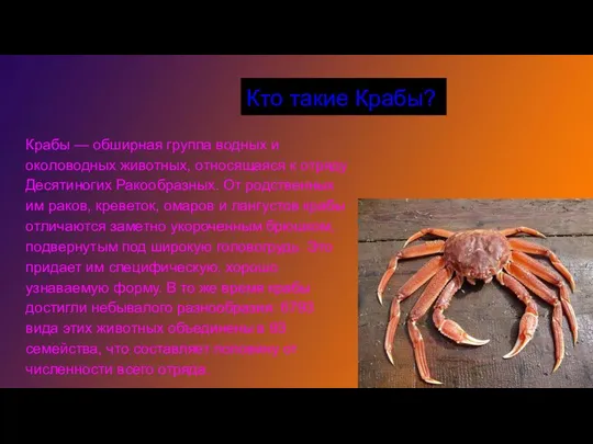 Кто такие Крабы? Крабы — обширная группа водных и околоводных животных,