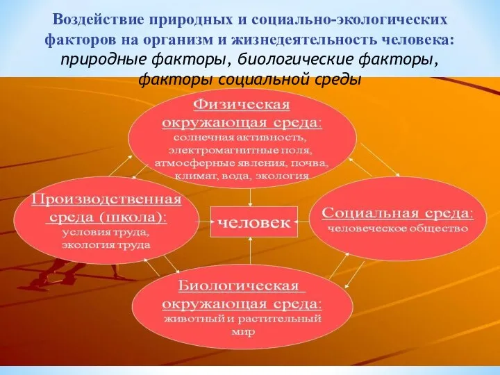 Воздействие природных и социально-экологических факторов на организм и жизнедеятельность человека: природные