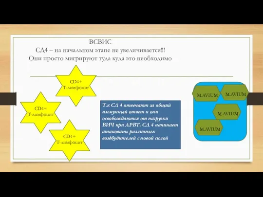 ВСВИС СД4 – на начальном этапе не увеличивается!!! Они просто мигрируют