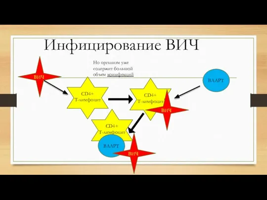 Но организм уже содержит большой объем коинфекций Инфицирование ВИЧ