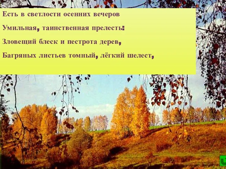 Есть в светлости осенних вечеров Умильная, таинственная прелесть: Зловещий блеск и