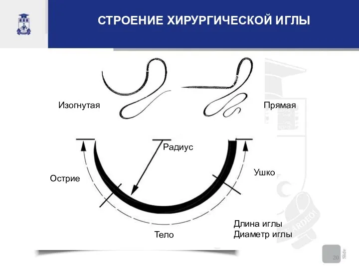 СТРОЕНИЕ ХИРУРГИЧЕСКОЙ ИГЛЫ Изогнутая Прямая Тело Ушко Острие Радиус Длина иглы Диаметр иглы