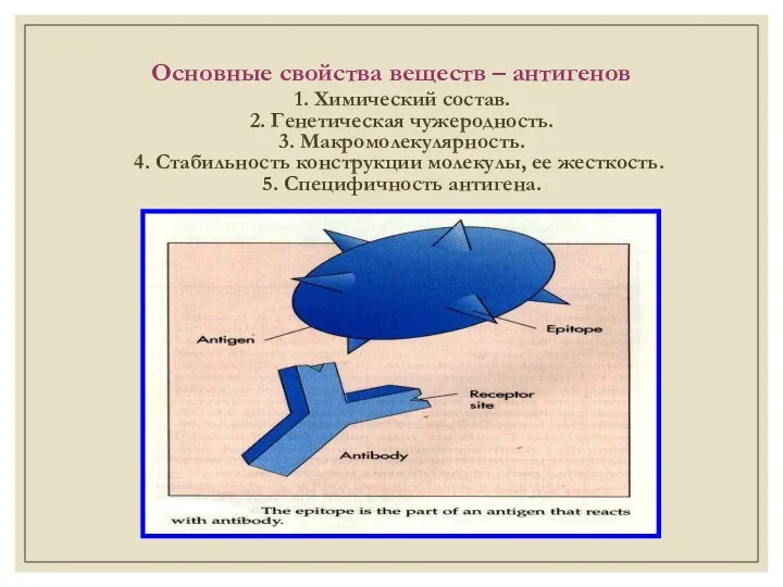 Основные свойства веществ – антигенов 1. Химический состав. 2. Генетическая чужеродность.