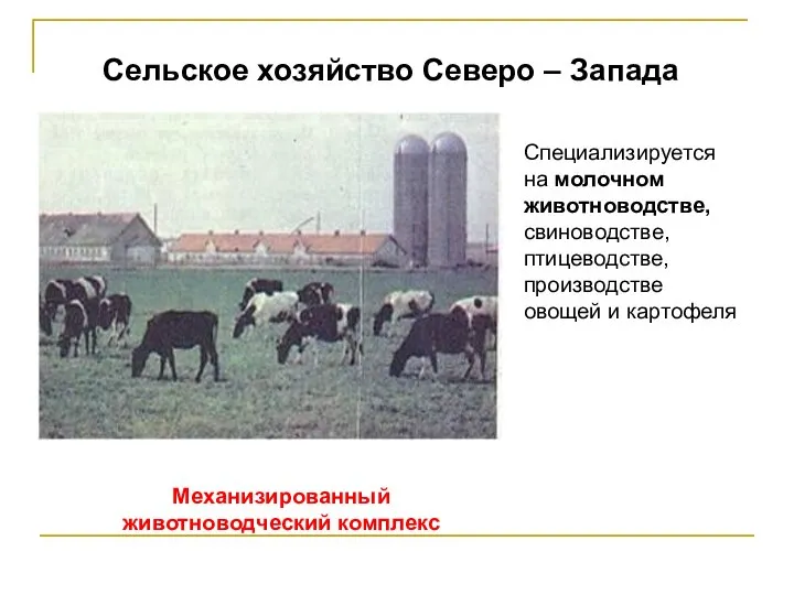 Сельское хозяйство Северо – Запада Специализируется на молочном животноводстве, свиноводстве, птицеводстве,