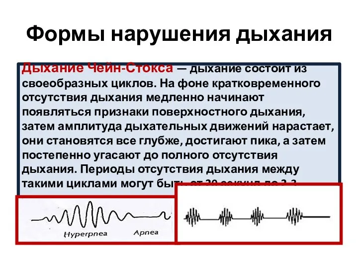 Формы нарушения дыхания Дыхание Чейн-Стокса — дыхание состоит из своеобразных циклов.