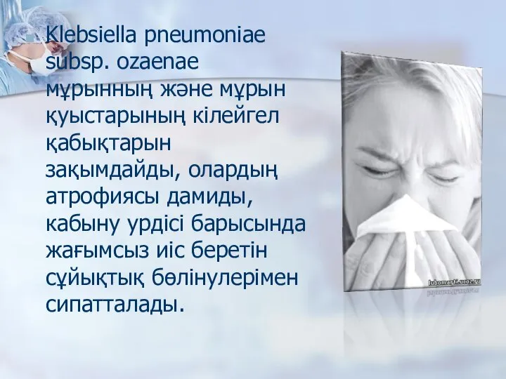 Klebsiella pneumoniae subsp. ozaenae мұрынның және мұрын қуыстарының кілейгел қабықтарын зақымдайды,