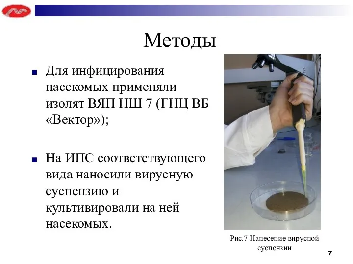 Методы Для инфицирования насекомых применяли изолят ВЯП НШ 7 (ГНЦ ВБ