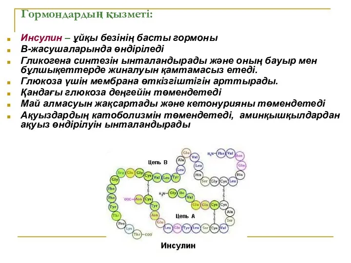 Гормондардың қызметі: Инсулин – ұйқы безінің басты гормоны В-жасушаларында өндіріледі Гликогена