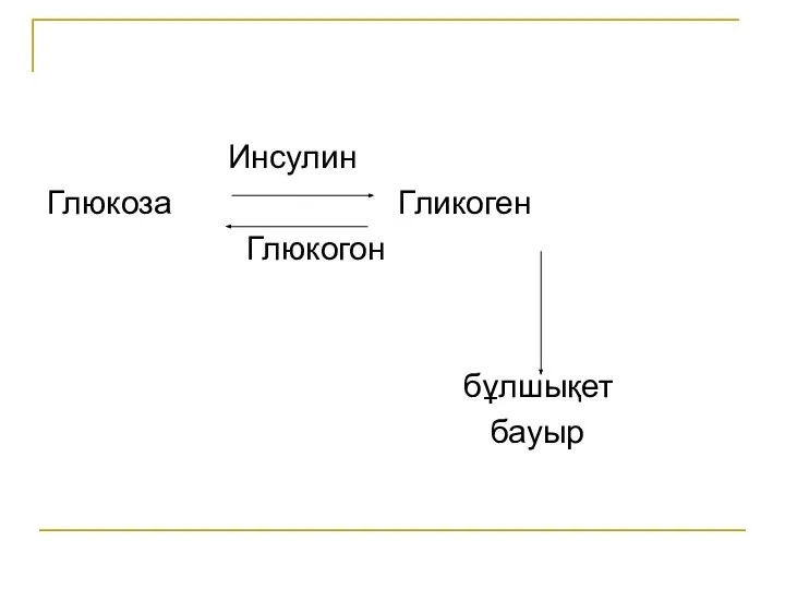 Инсулин Глюкоза Гликоген Глюкогон бұлшықет бауыр