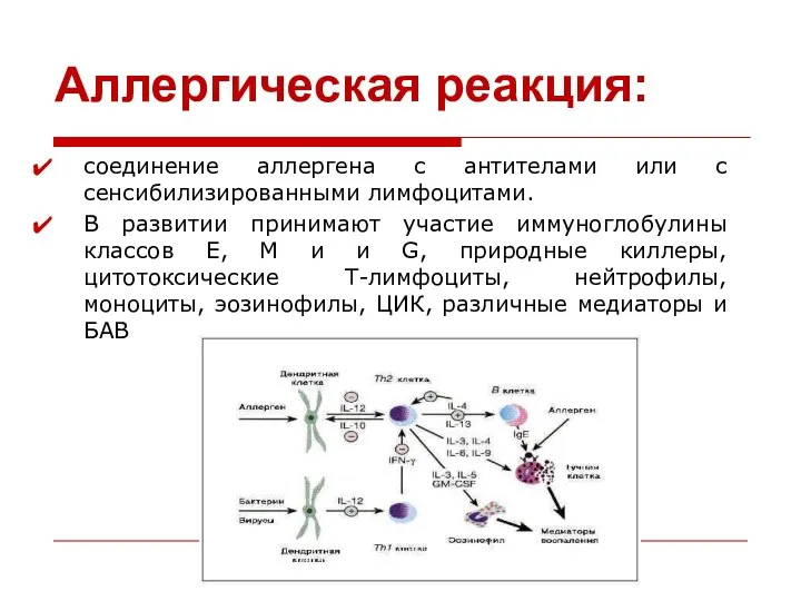 Аллергическая реакция: соединение аллергена с антителами или с сенсибилизированными лимфоцитами. В