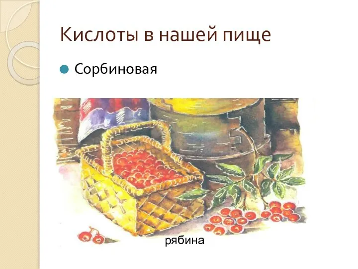 Кислоты в нашей пище Сорбиновая рябина