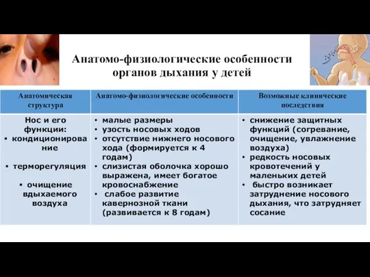 Анатомо-физиологические особенности органов дыхания у детей