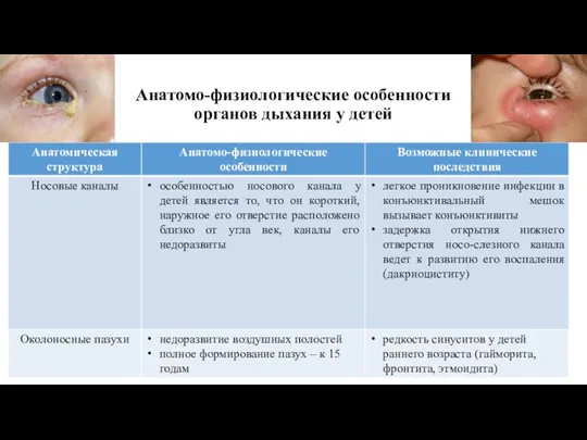 Анатомо-физиологические особенности органов дыхания у детей