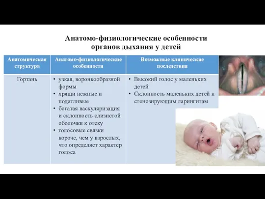 Анатомо-физиологические особенности органов дыхания у детей