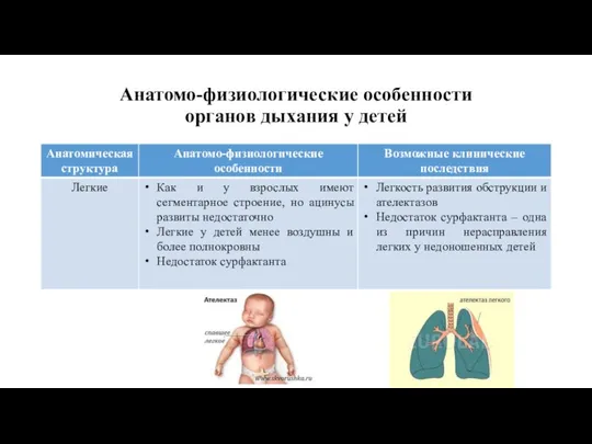 Анатомо-физиологические особенности органов дыхания у детей