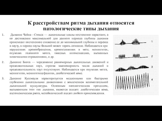 К расстройствам ритма дыхания относятся патологические типы дыхания Дыхание Чейна—Стокса —