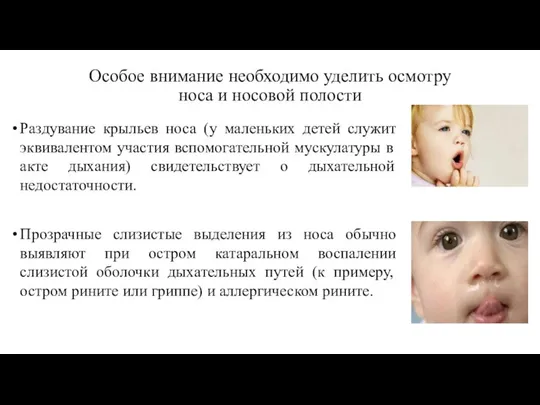 Особое внимание необходимо уделить осмотру носа и носовой полости Раздувание крыльев