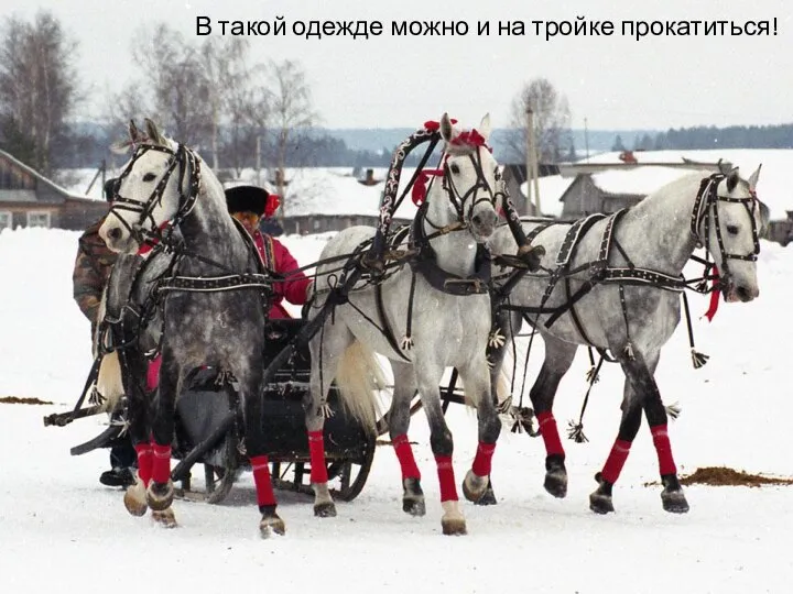 В такой одежде можно и на тройке прокатиться!