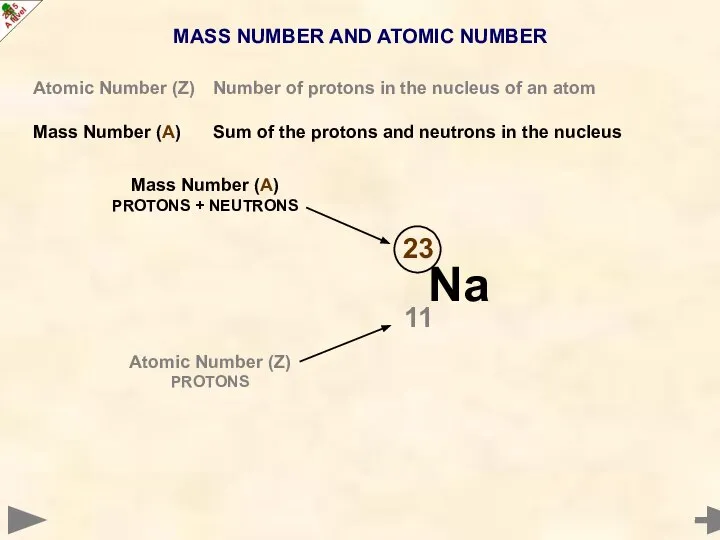 MASS NUMBER AND ATOMIC NUMBER Atomic Number (Z) Number of protons