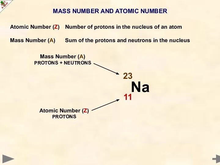 MASS NUMBER AND ATOMIC NUMBER Atomic Number (Z) Number of protons