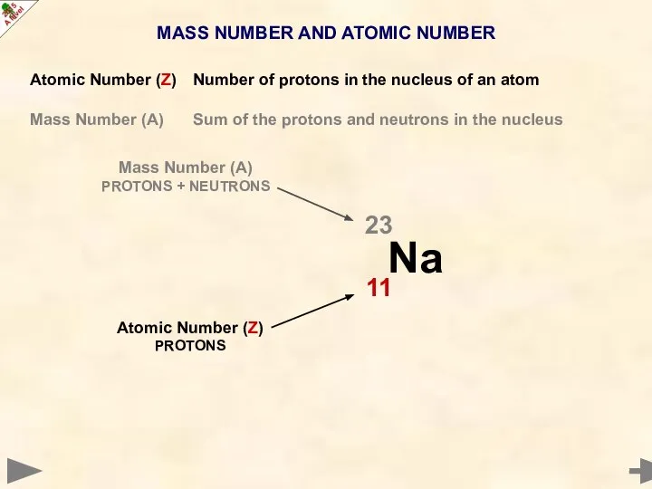 MASS NUMBER AND ATOMIC NUMBER Atomic Number (Z) Number of protons