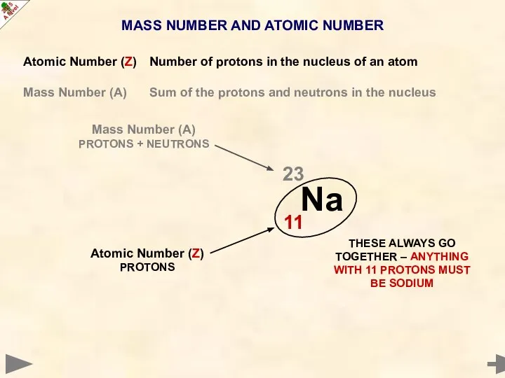 MASS NUMBER AND ATOMIC NUMBER Atomic Number (Z) Number of protons