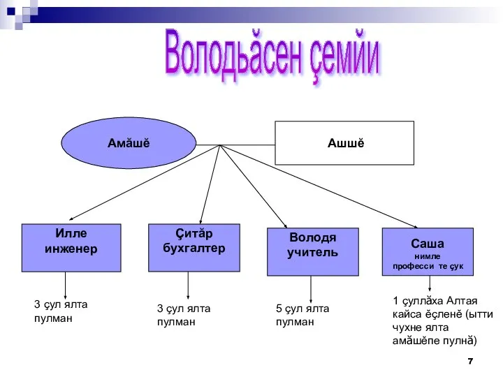 Амăшĕ Илле инженер Çитăр бухгалтер Володя учитель Саша нимле професси те