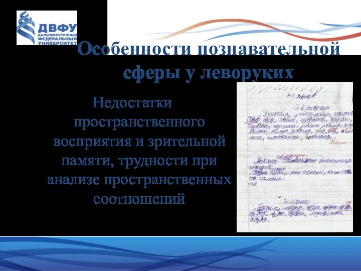 Особенности познавательной сферы у леворуких Недостатки пространственного восприятия и зрительной памяти, трудности при анализе пространственных соотношений